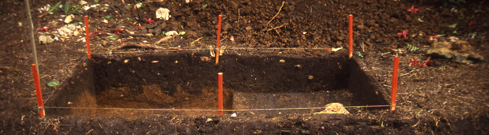 Text excavation
